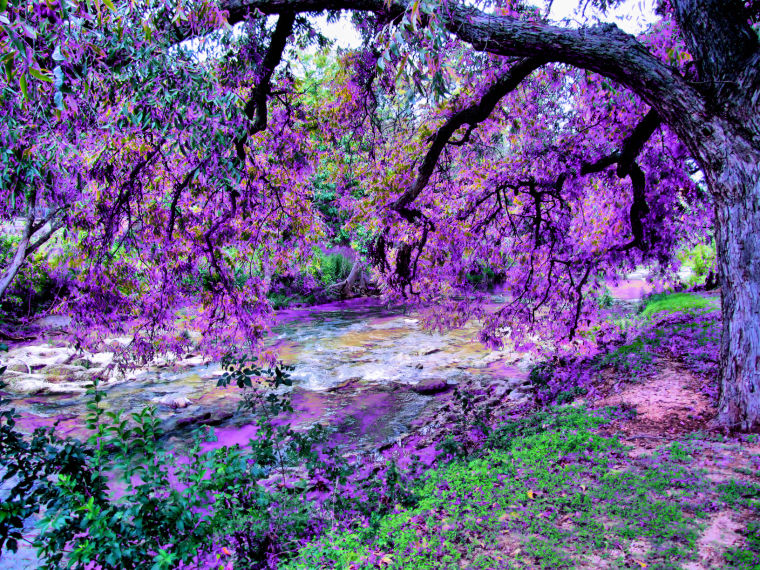 If everything Green was Purple